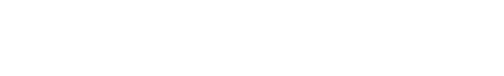 Web Solutions Hungary Kft.